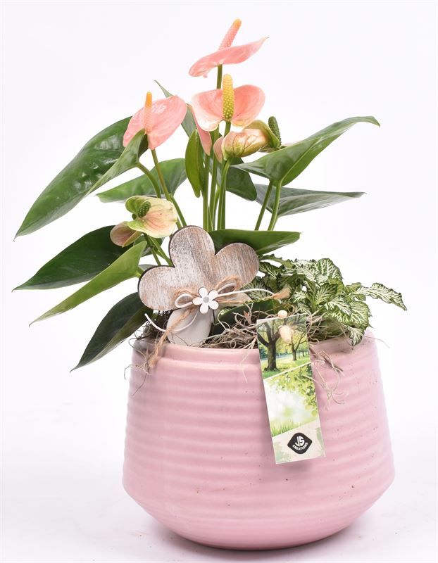 Keramiek ribbel pot roze 16.5cm, D 16