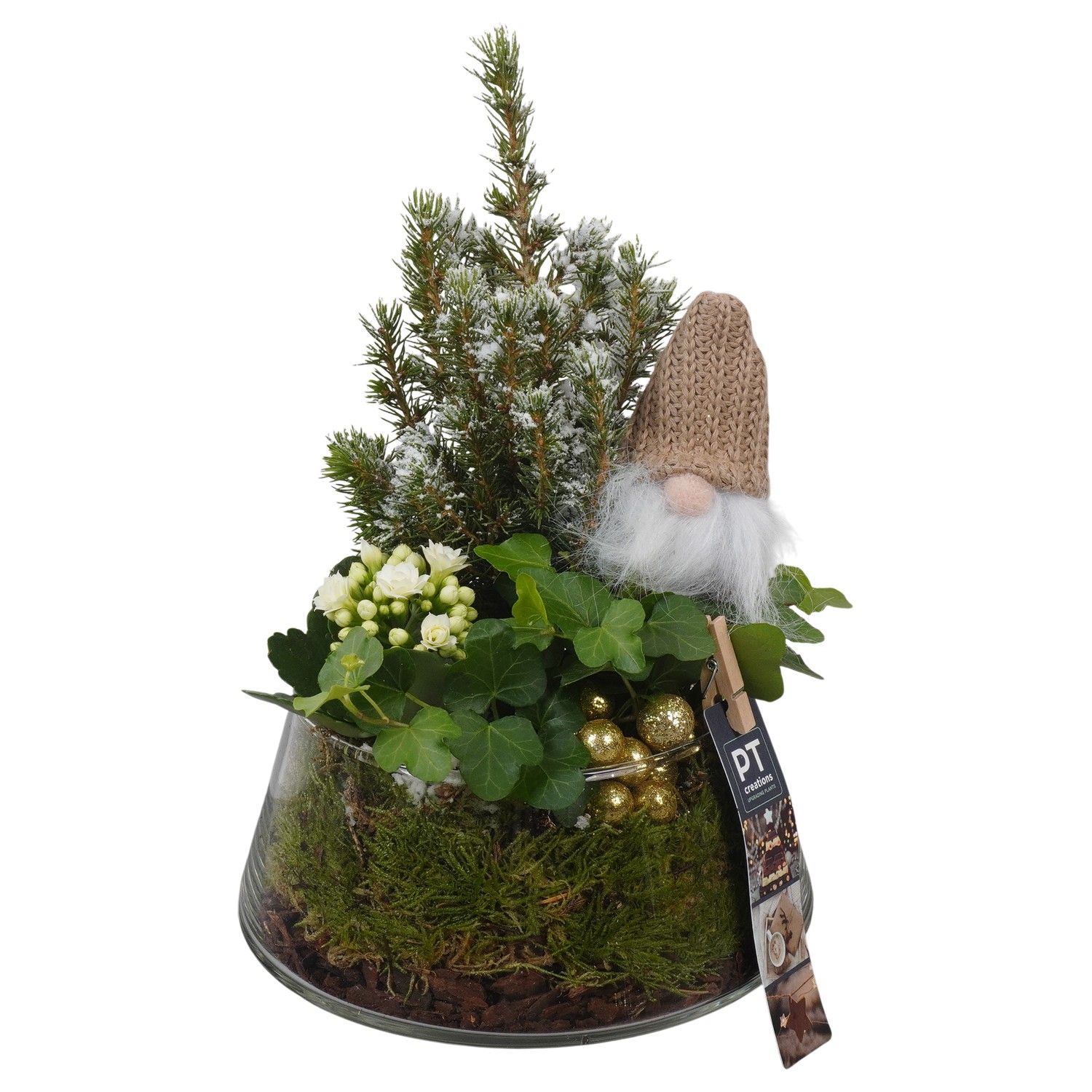 PTCHG5760 Arrangement Christmas Gold in glazen pot, D 18 cm