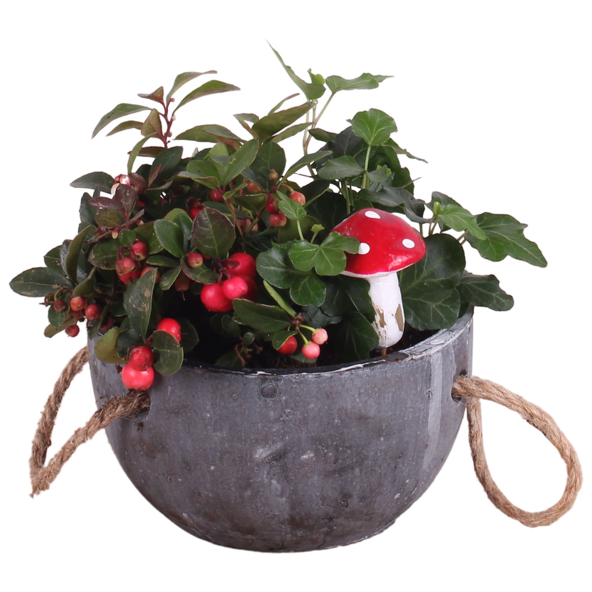 Autumn Arr. Outdoor Concrete Bowl Ø16cm 2PP, D 16 cm