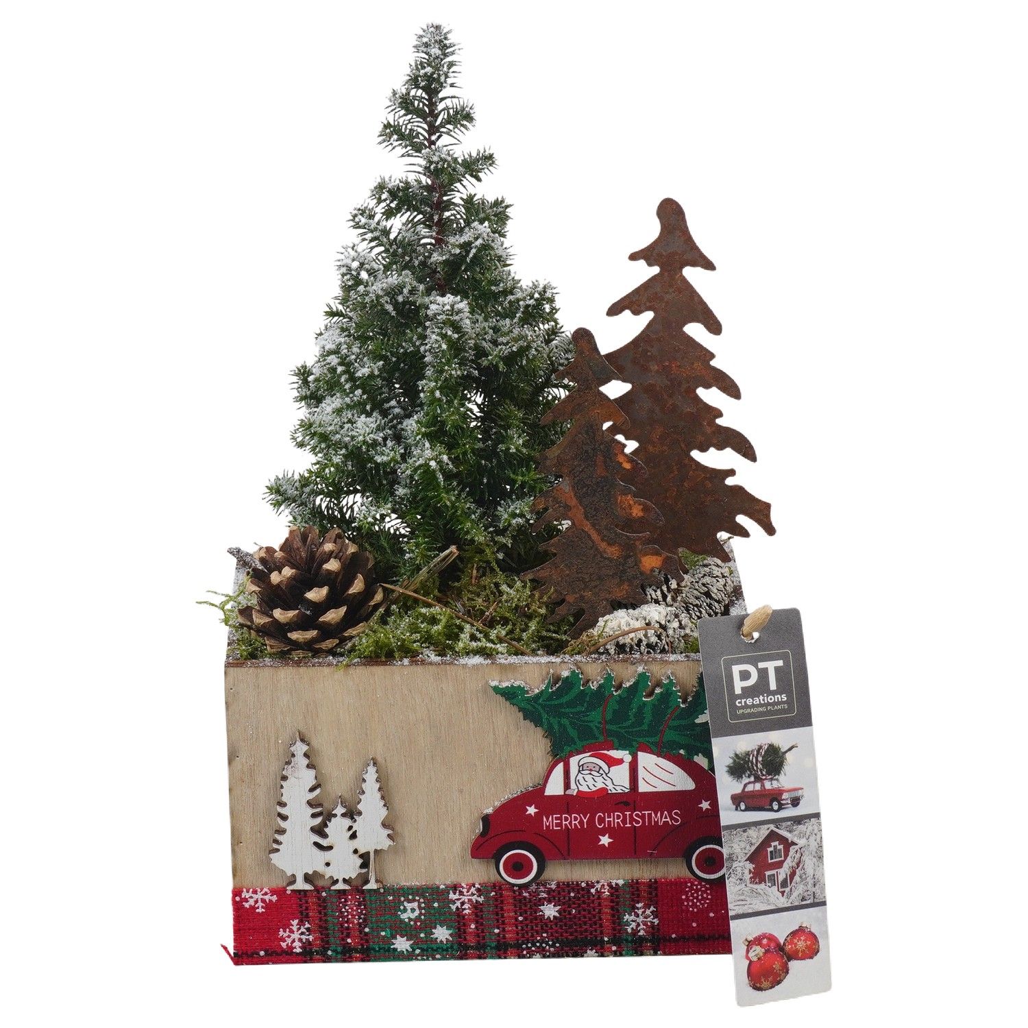 PTCWW6874 Arrangement Winter in houten bak, D 15 cm