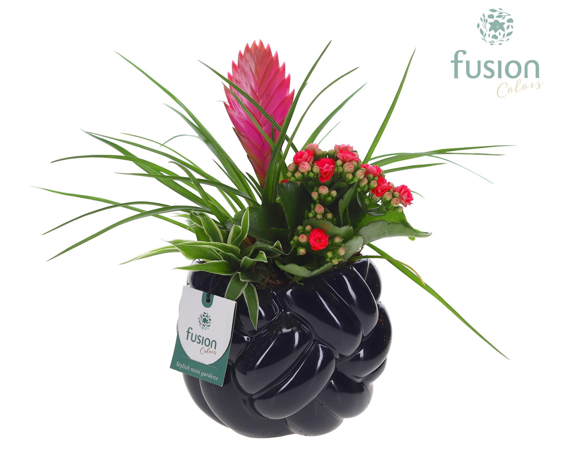 Keramiek knot pot met Arrangement, D 14