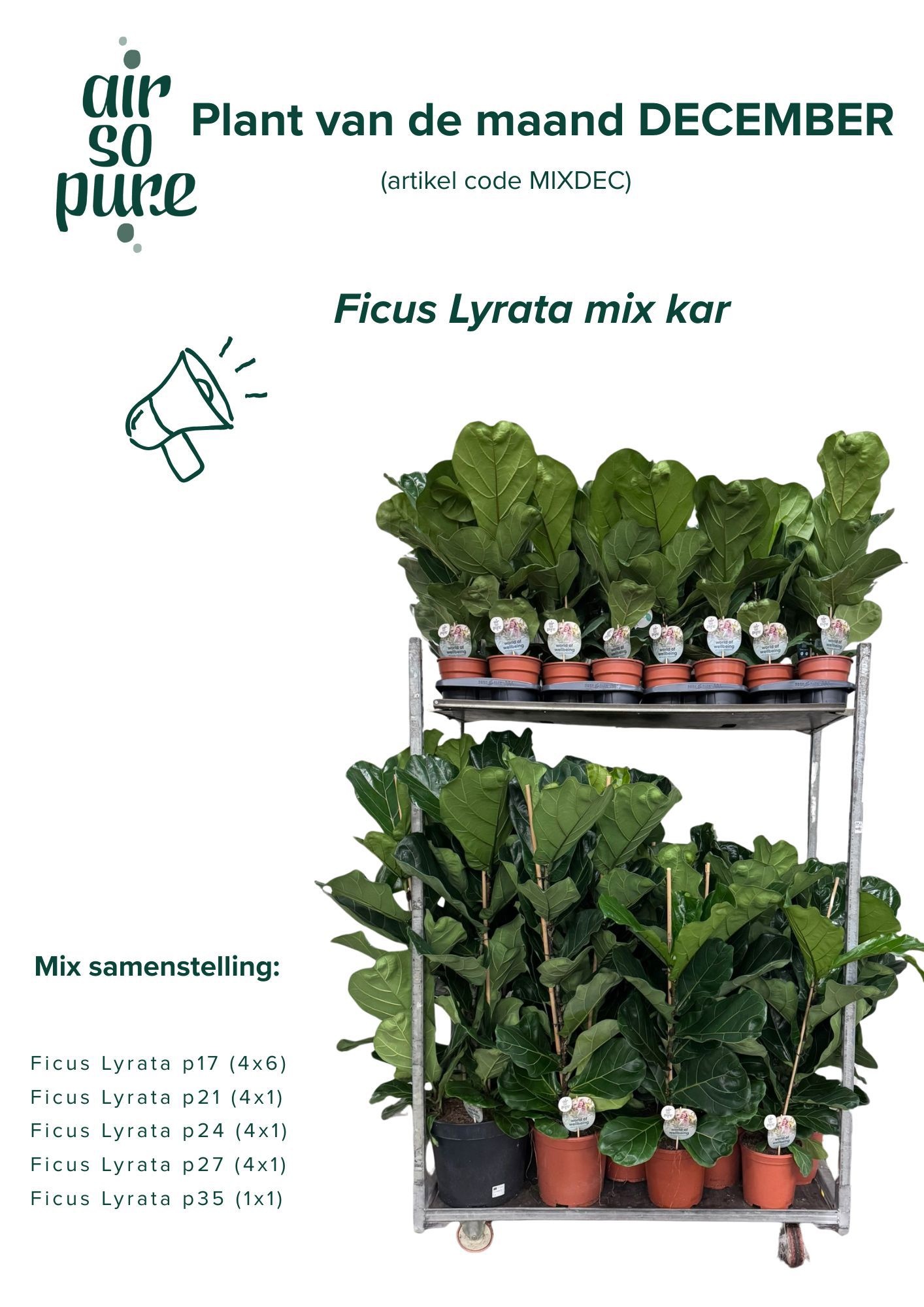 MIX CC December (Air so Pure), D 21