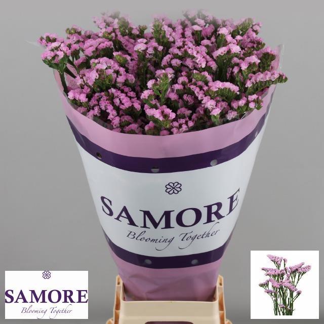 Статица Розелла Сан Бердс 70, шт.