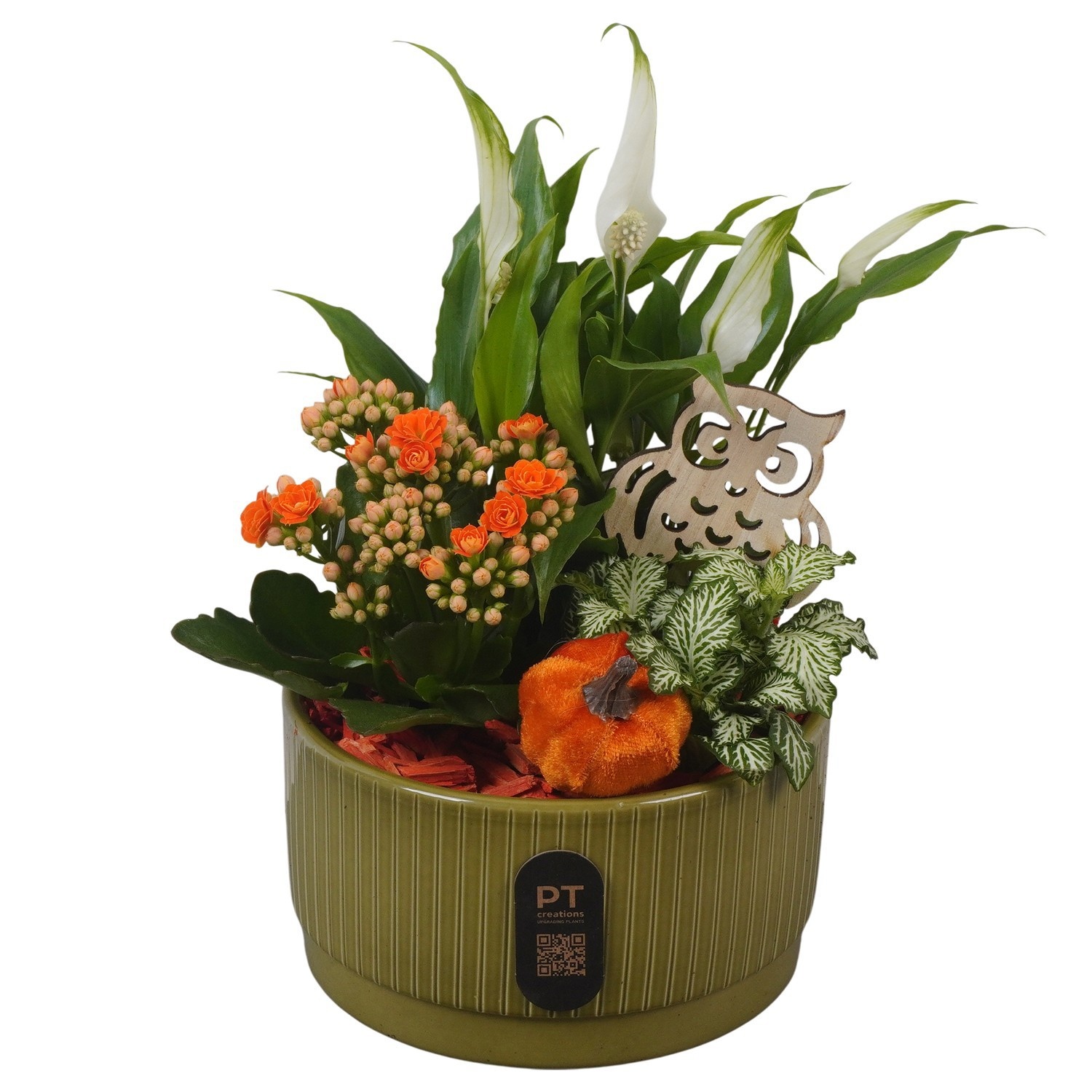 PTHI3210 Arrangement Autumn Indoor in keramiek schaal, D 16