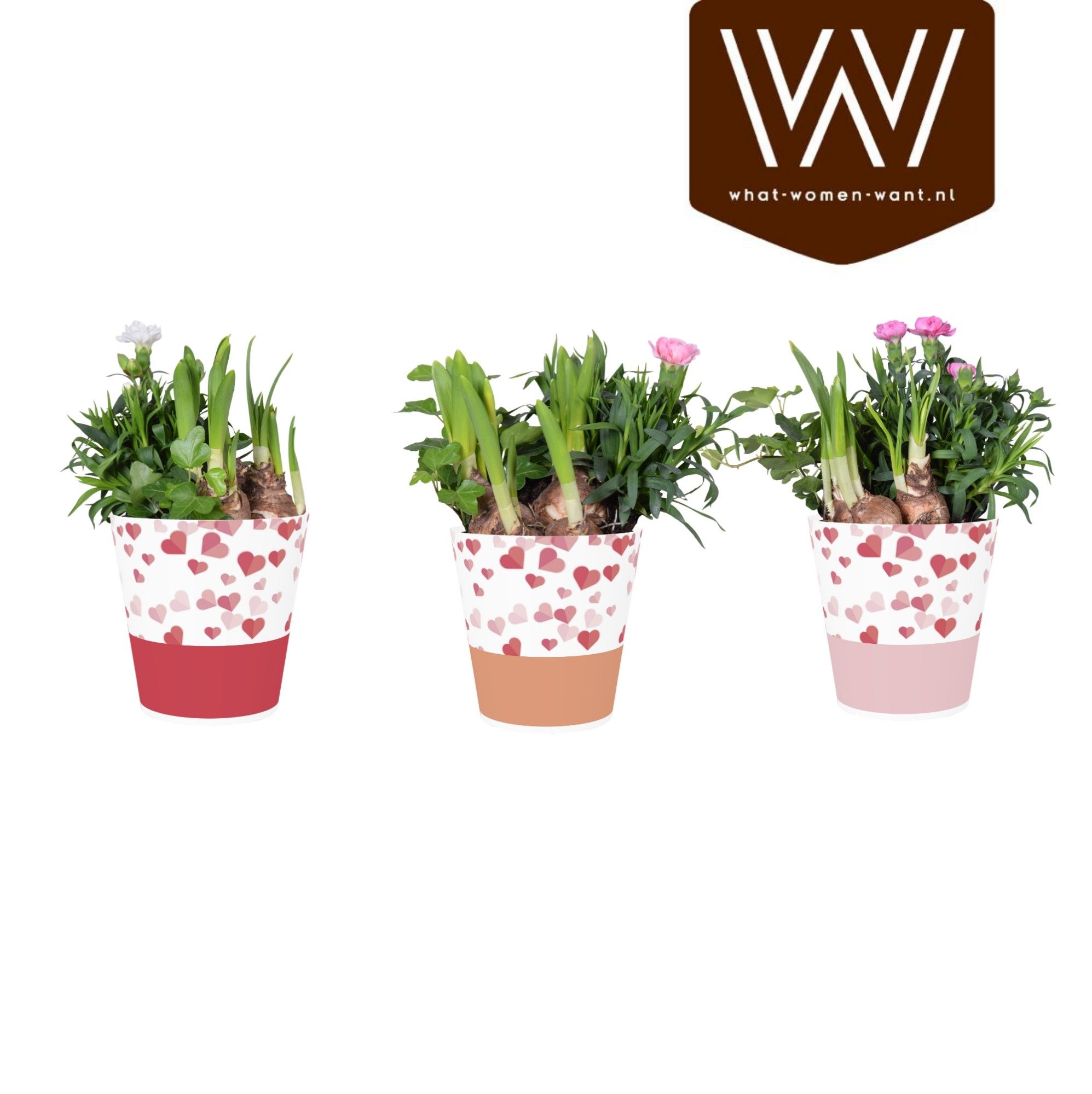 Collectie "Party Love" Arrangement in Smartcup Candy, D 12