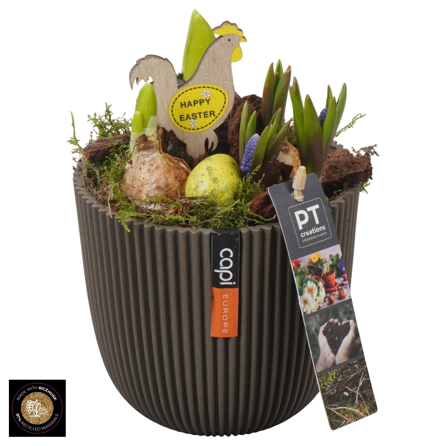 PTBMP5734 Arrangement Easter Bulbs Mix in capi pot, D 13