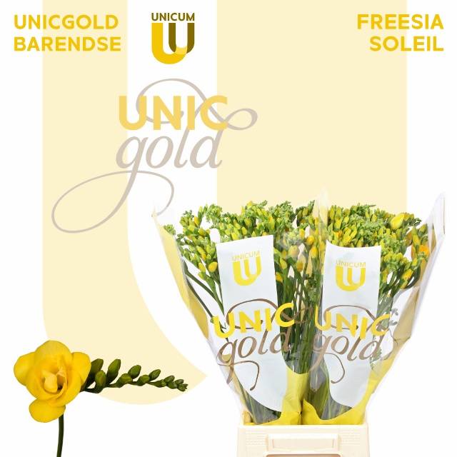 Фрезия дв. Солейл 50, шт.