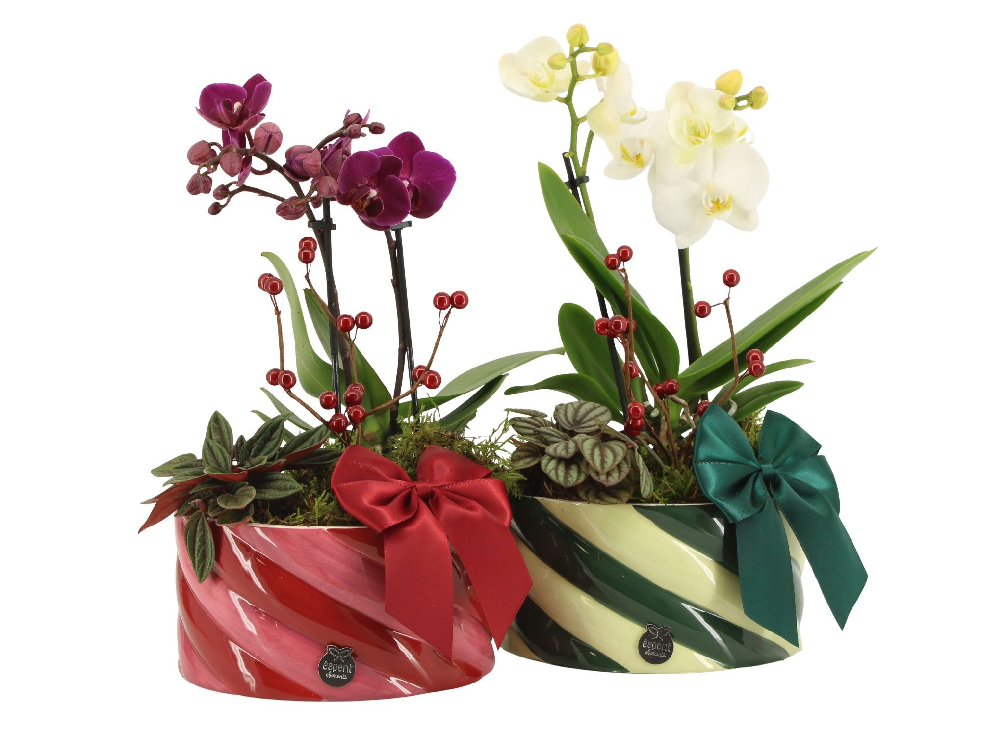 61786: X-mas arrangement, D 17