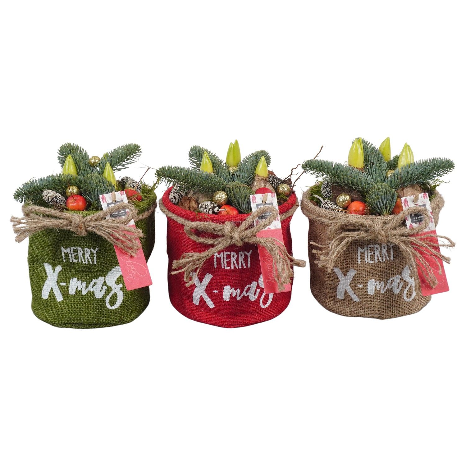 PTHCH6727 Arrangement Hyacint Christmas in jute zak, D 15