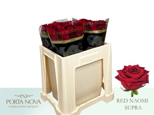 Роза од. Рэд Наоми 50, шт.