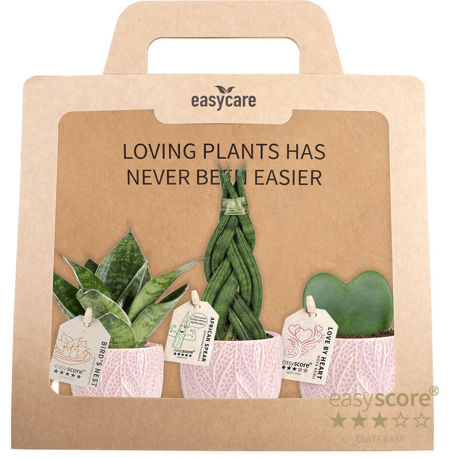 GREEN MIX 40690117 Leaf Rosa 3-pack CF, D 7