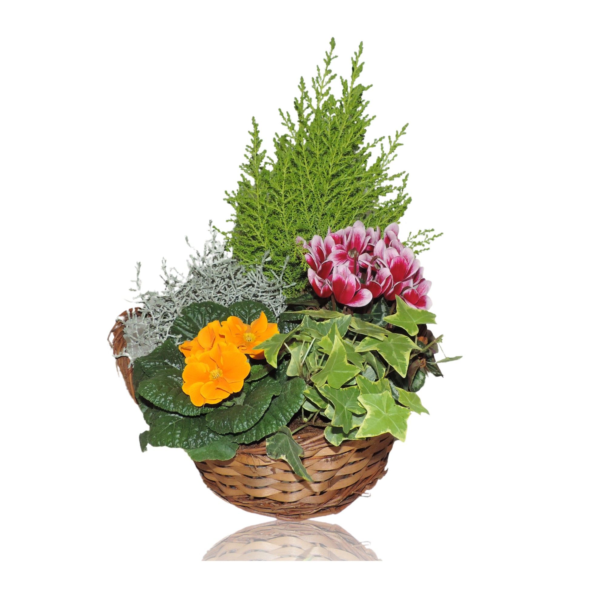 Collectie Hanoi Arrangement in Mand 25 cm, D 25