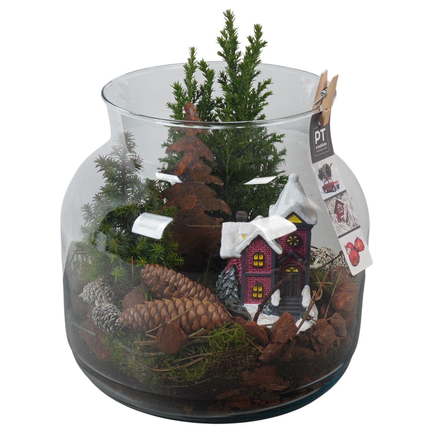 PTCWW6841 Arrangement Winter in glazen vaas, D 23 cm