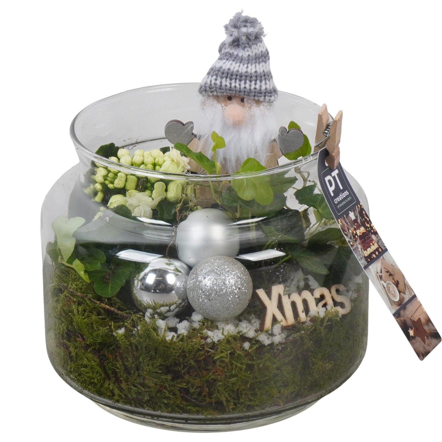 PTCHW4383 Arrangement Christmas White in glazen pot, D 16 cm