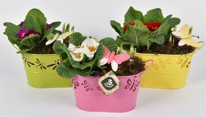 Zink ovaal met touw, D 22