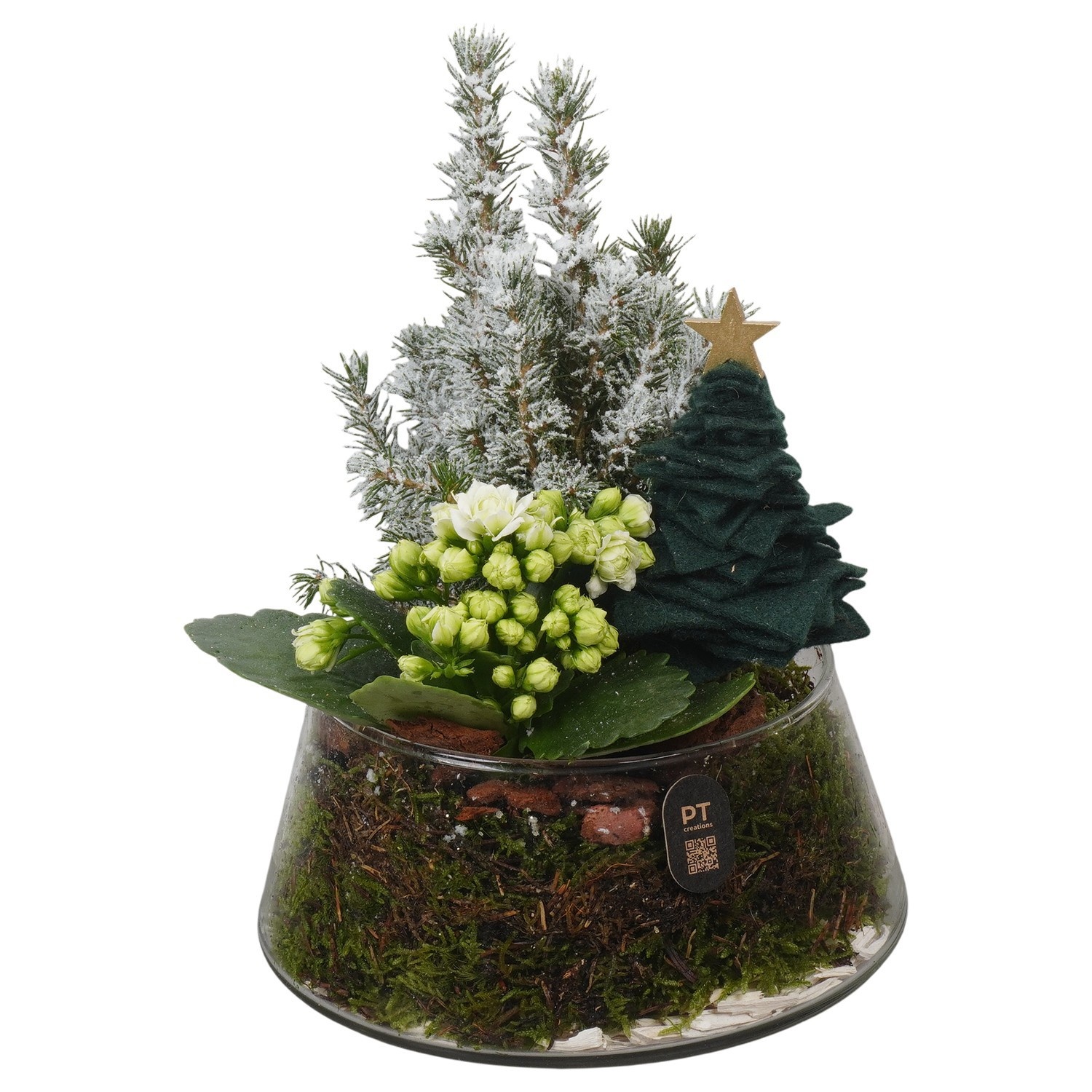 PTCHGR1925 Arrangement Christmas Green in glas schaal, D 18