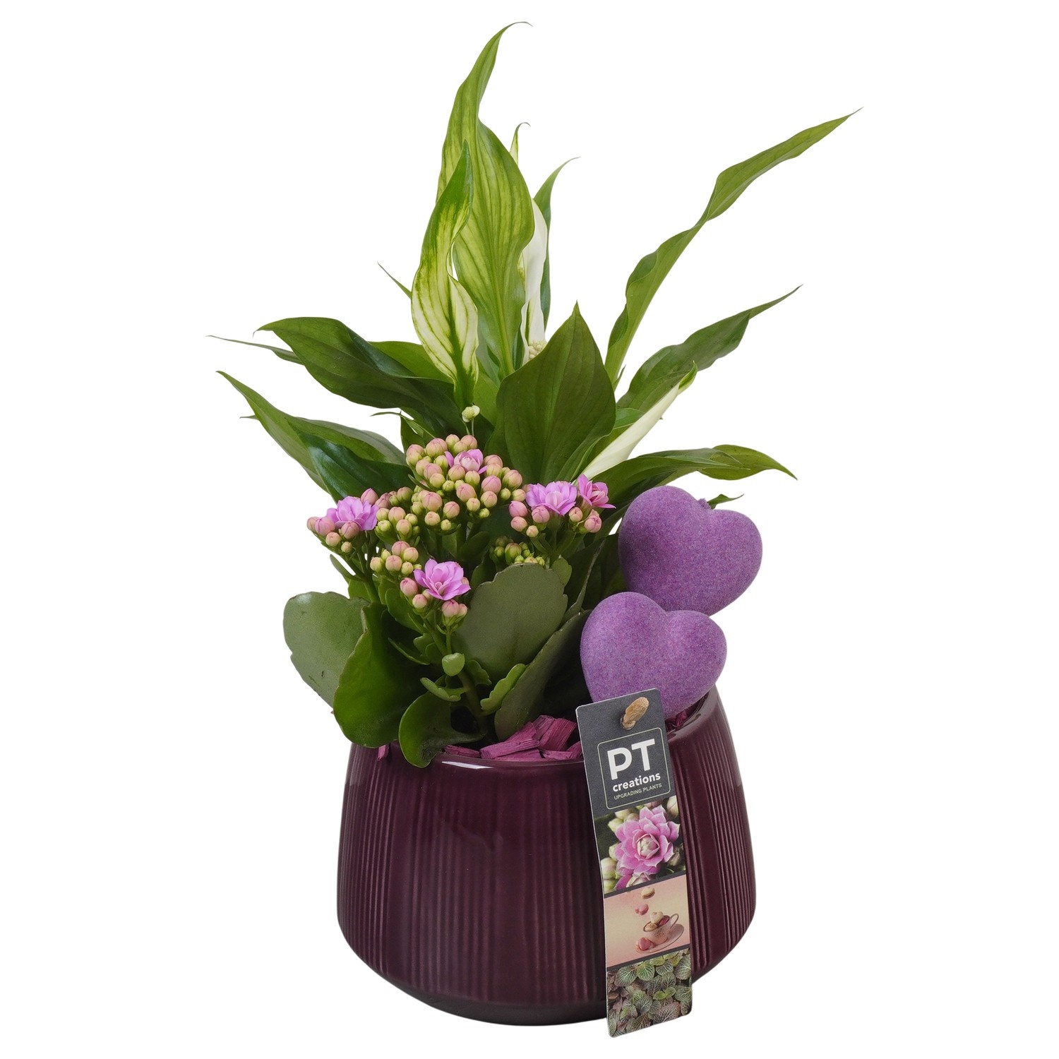 PTVMB2243 Arrangement Valentines-Mothersday in keramiek sierpot, D 14