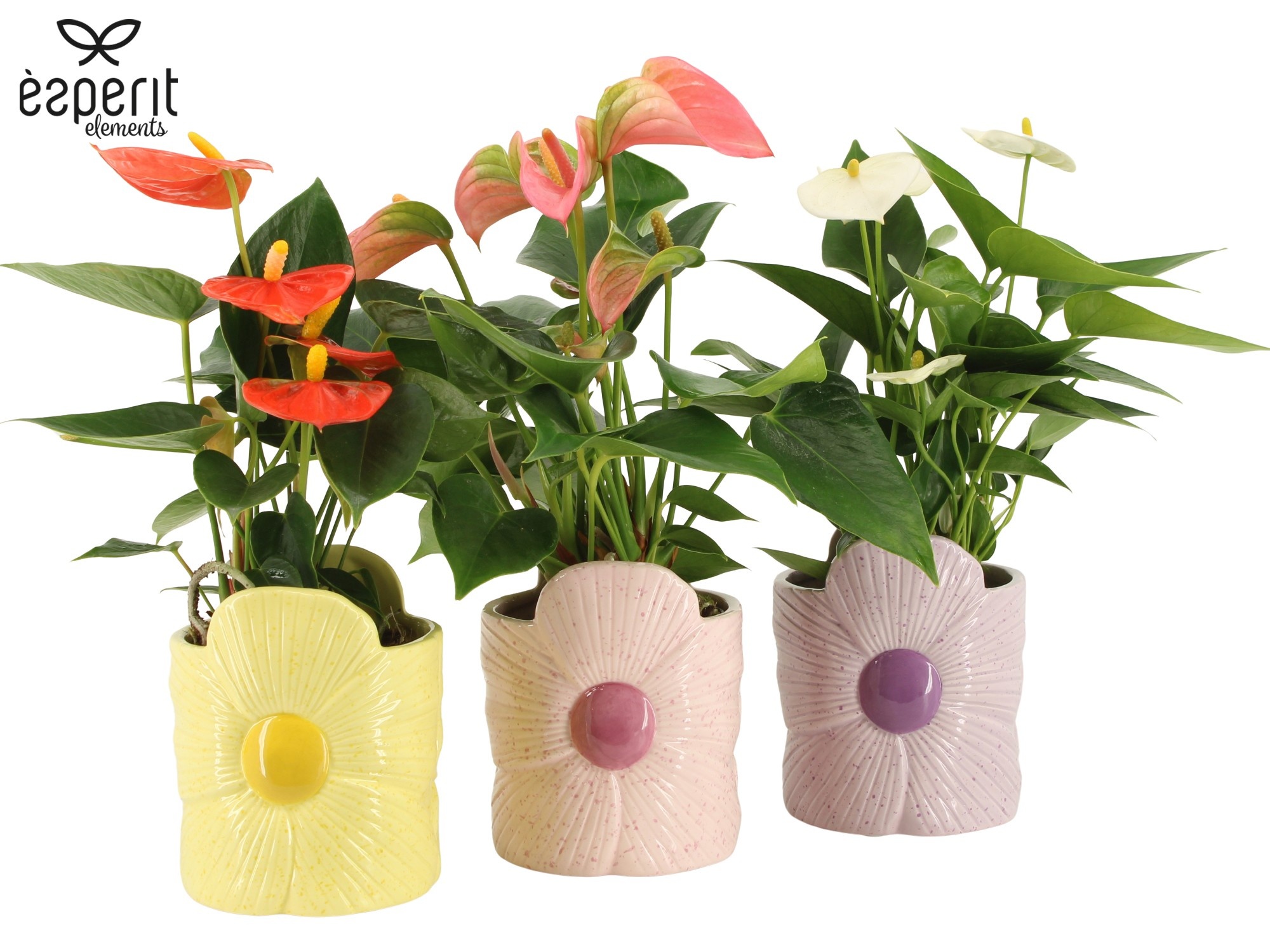 7503537: Solutionss Reinvention, D 9