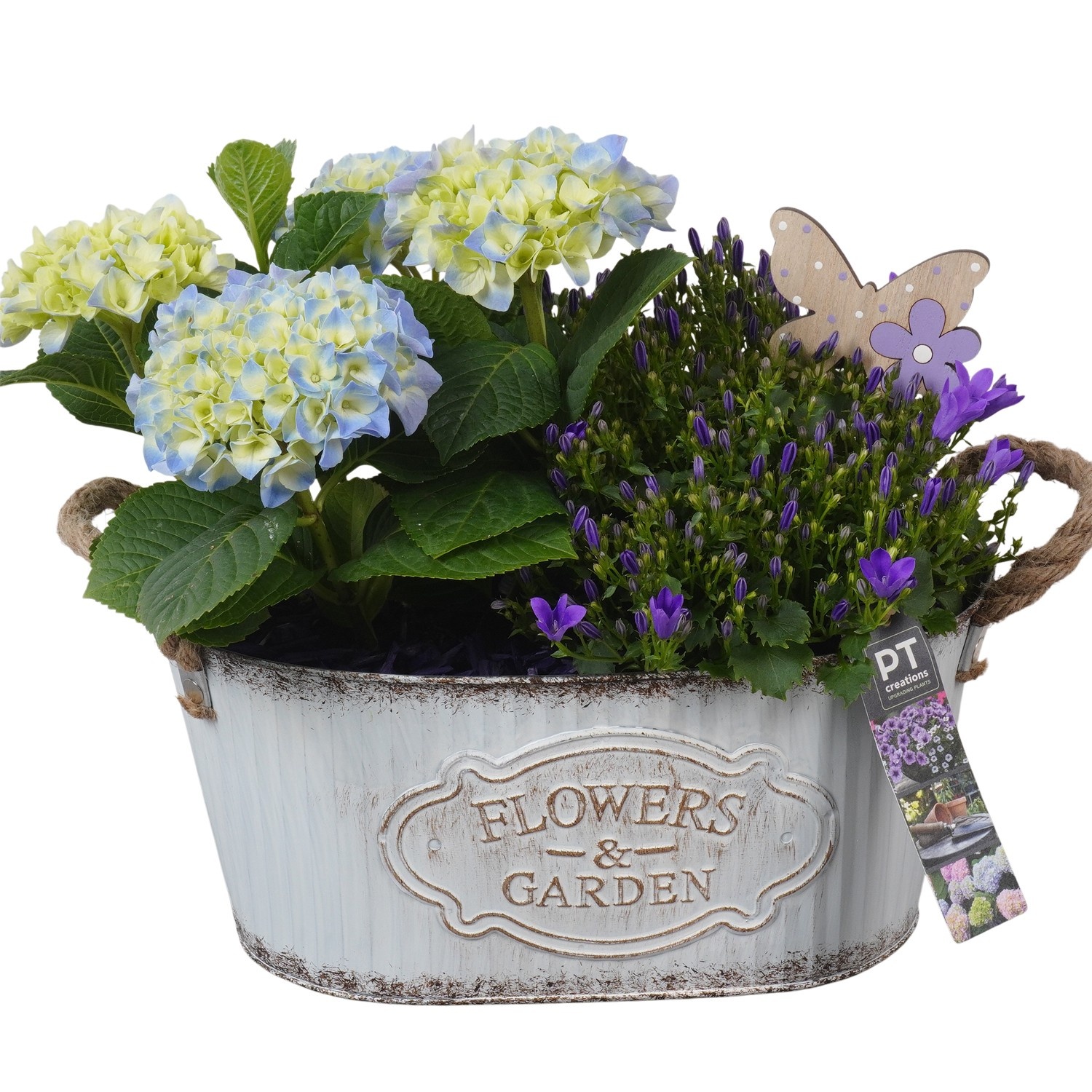 PTPP6884 Arrangement Patio in metalen pot, D 28