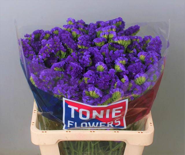 Статица Кристал Дарк Блю 60 (фиолет.), шт.