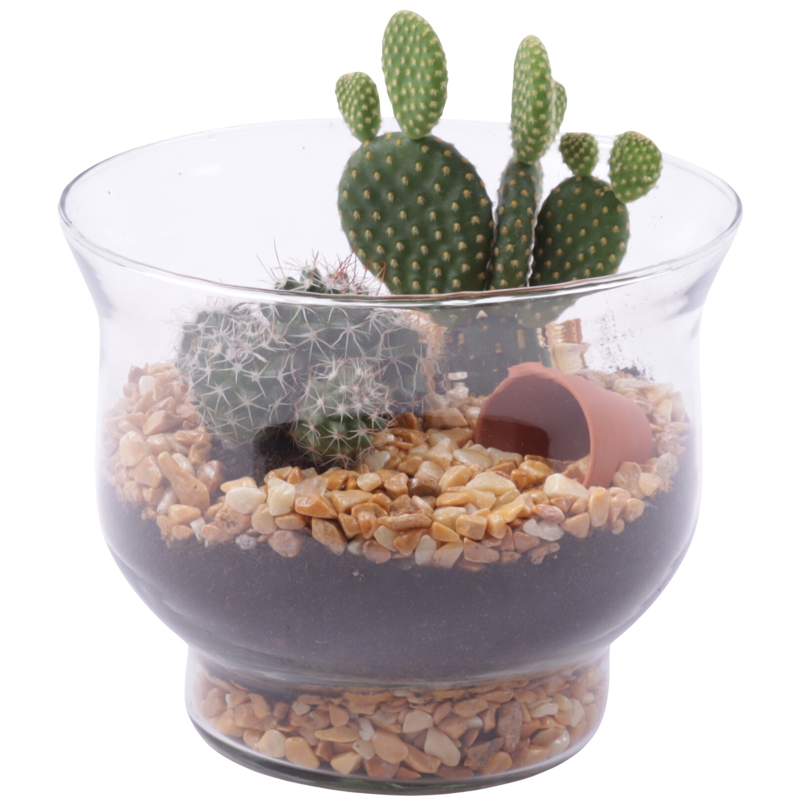 Yearround Arr. Cactus Glass Tulip Vase Ø16cm 2PP, D 16