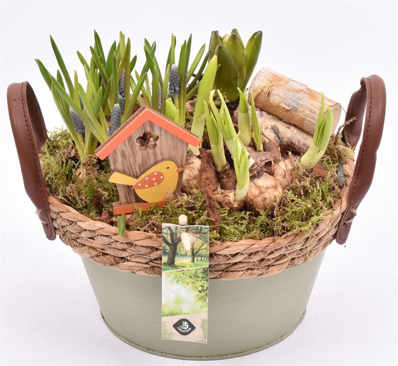 Zink schaal groen met touw 21cm, D 21