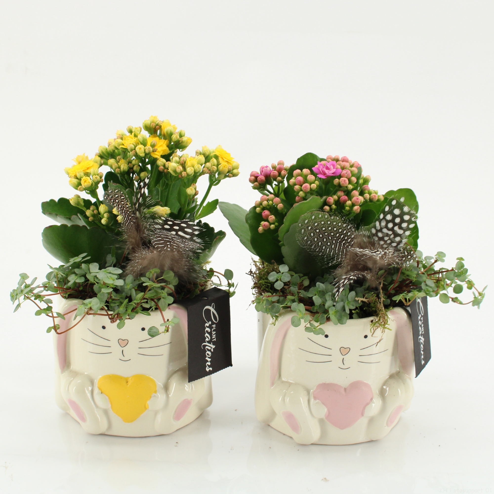 PSCR-2607 Easter Essentials, D 11