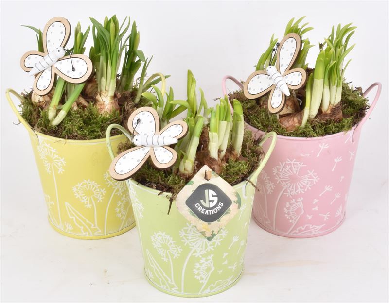 Zink emmer decor 12cm, D 12