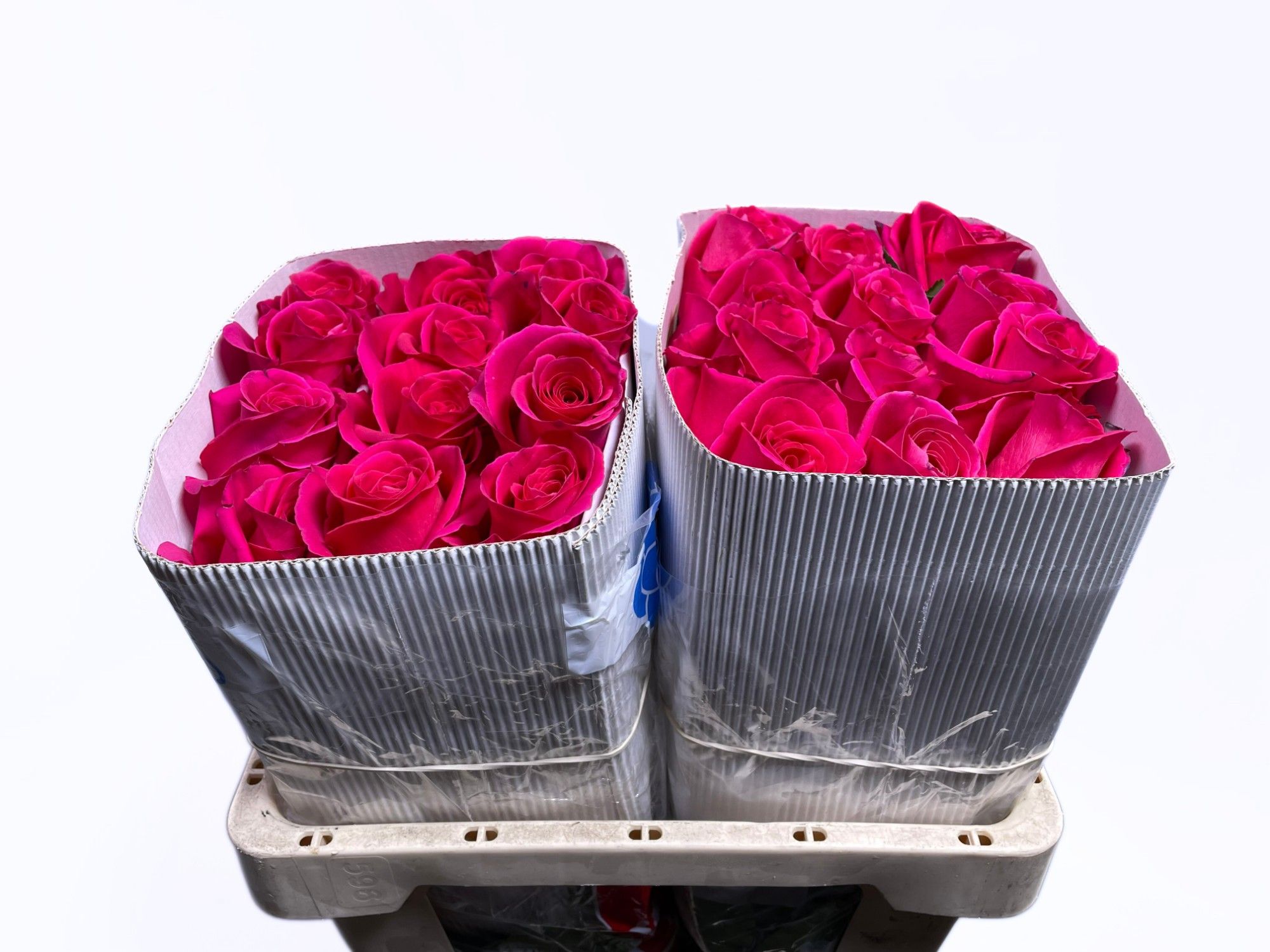 Роза од. Пинк Флойд 50, шт.