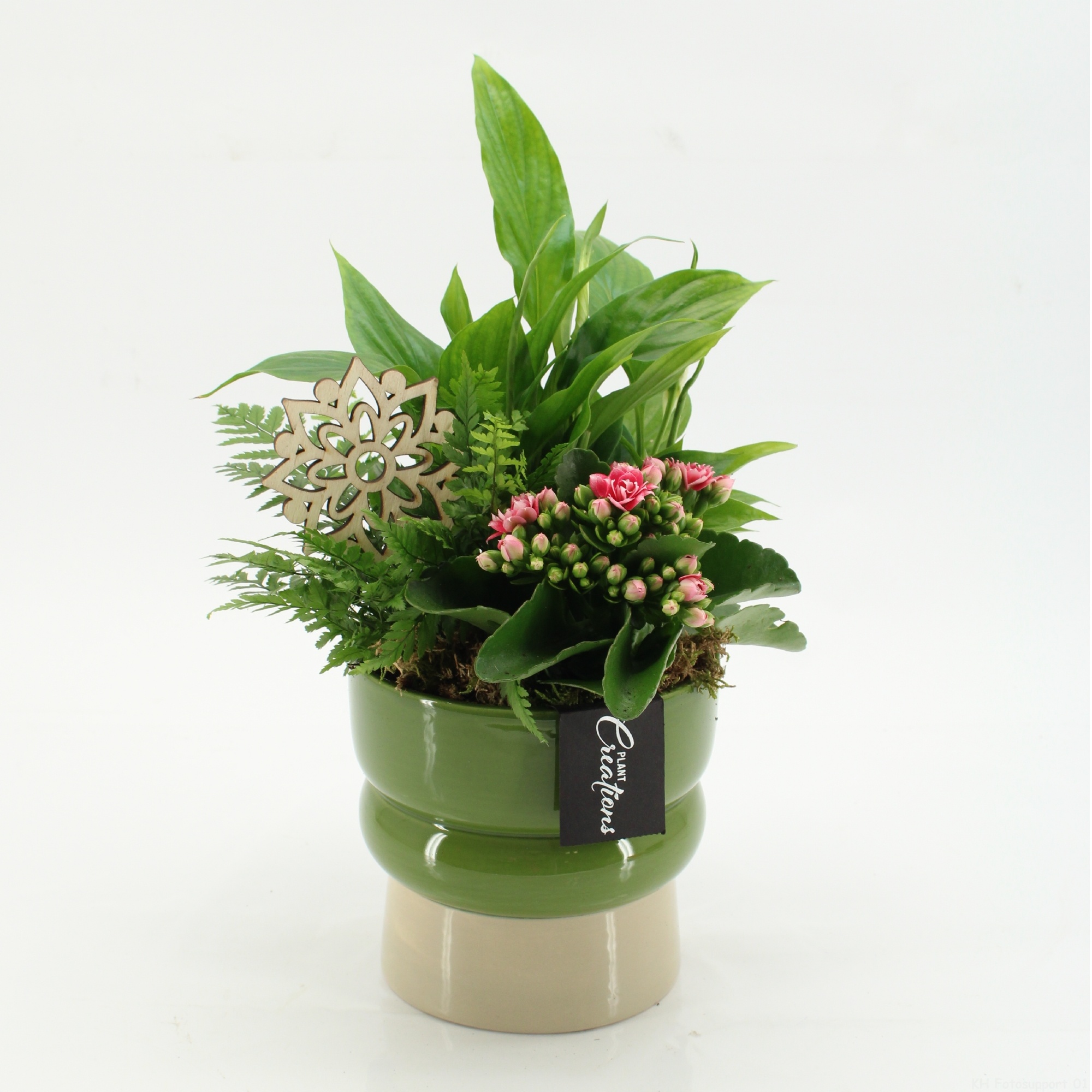 ESCR-2619RZ Essentials, D 14