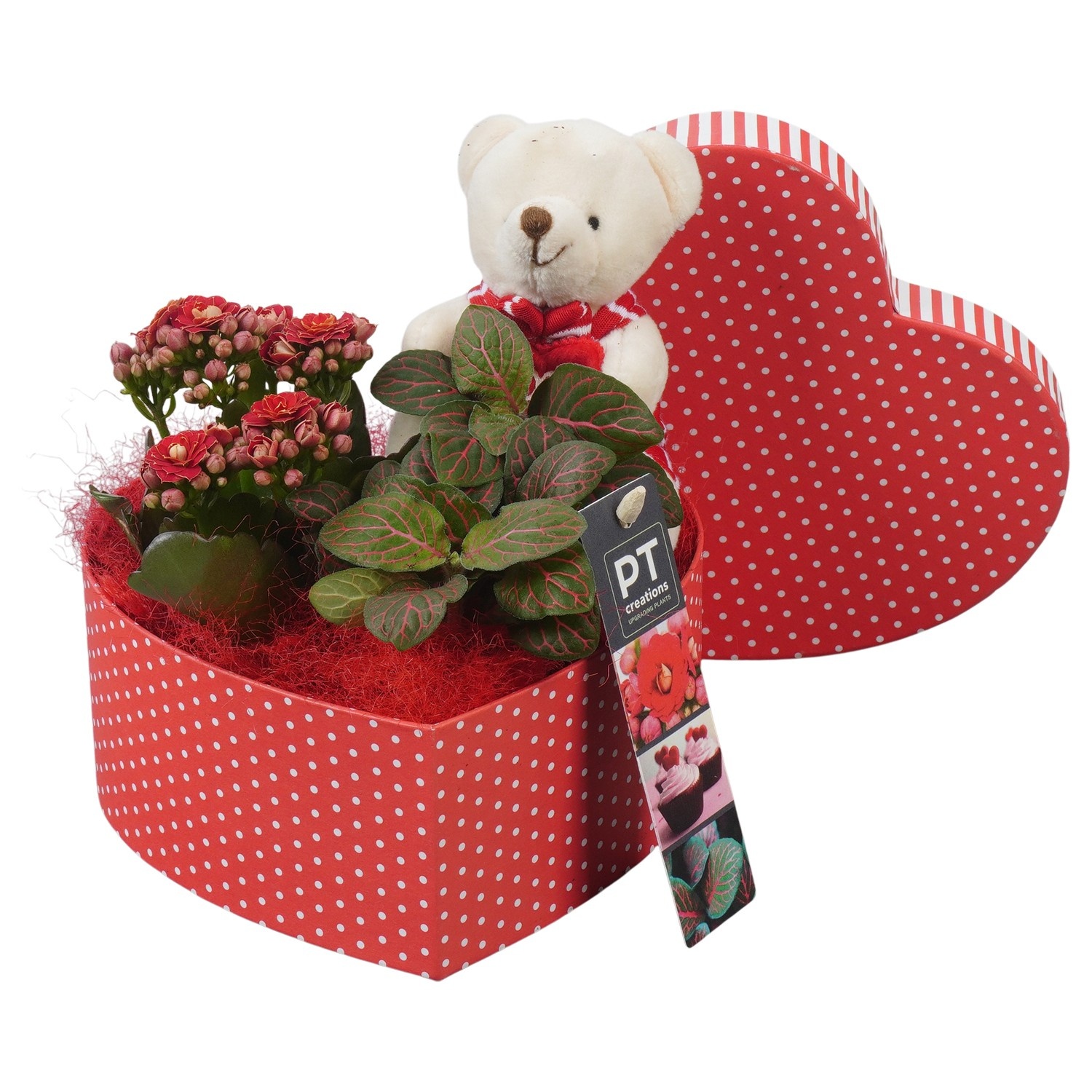 PTVMB2371 Arrangement Valentines-Mothersday in karton hart, D 16
