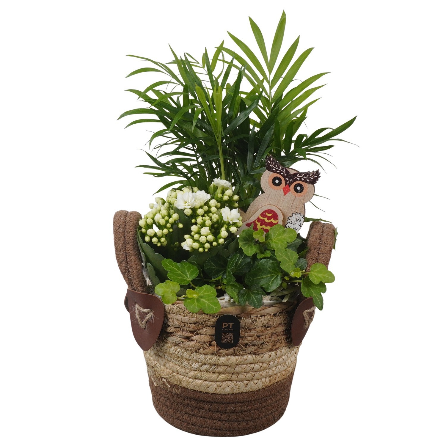 PTHI3303 Arrangement Autumn Indoor in rieten mand, D 14