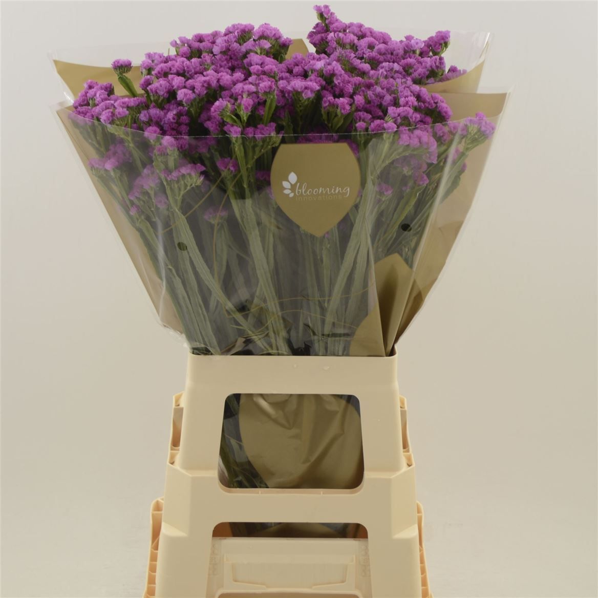 Статица Харт Вингз 70, шт.