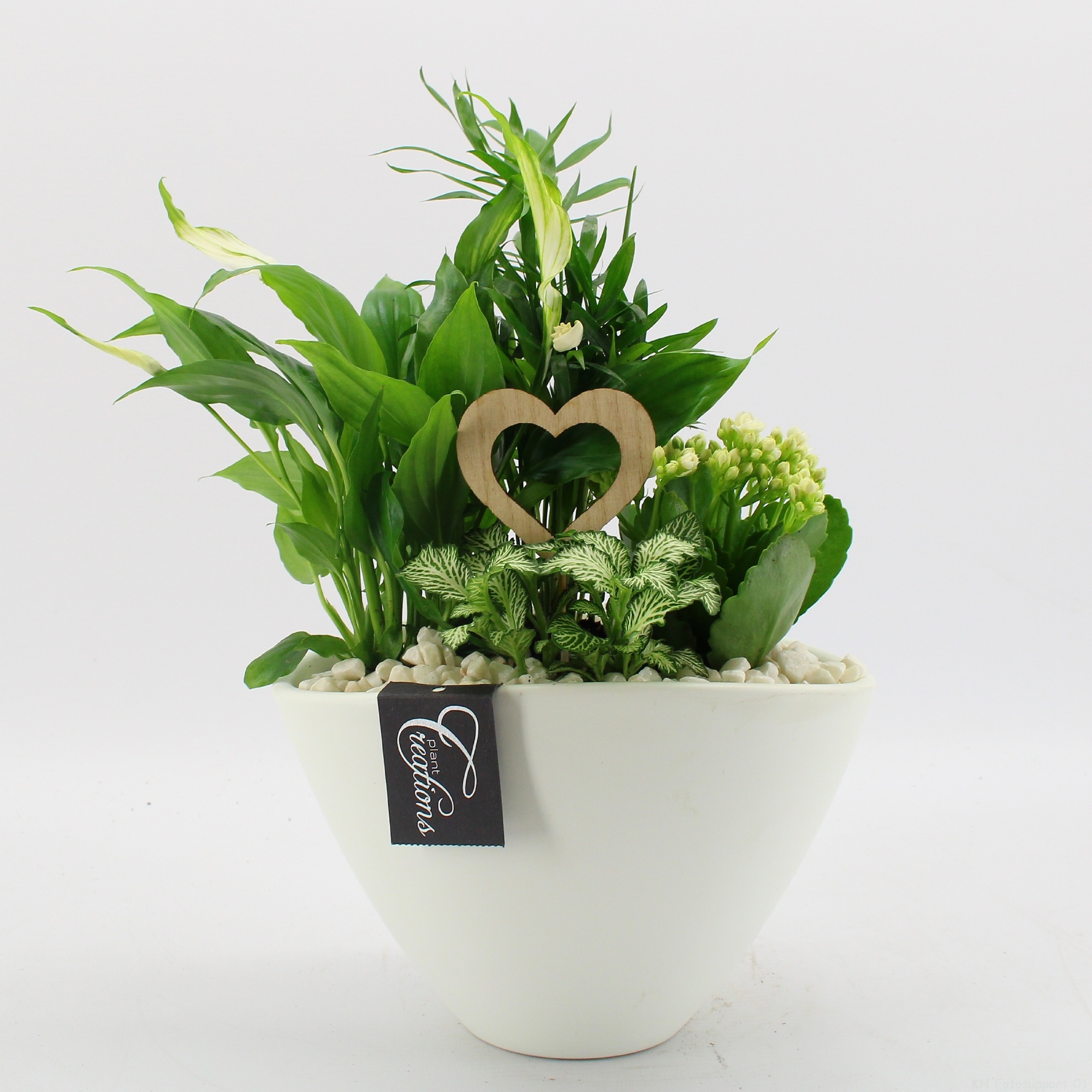 FDRM-2611W Romantic Fundamentals, D 21