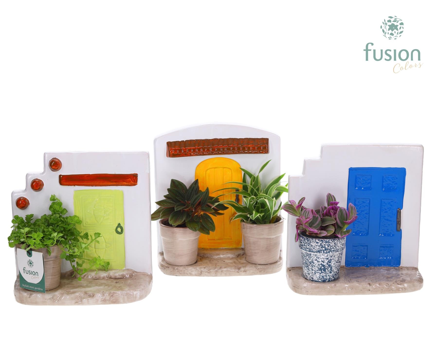 Terracotta Muurplanter met Groene planten, D 20