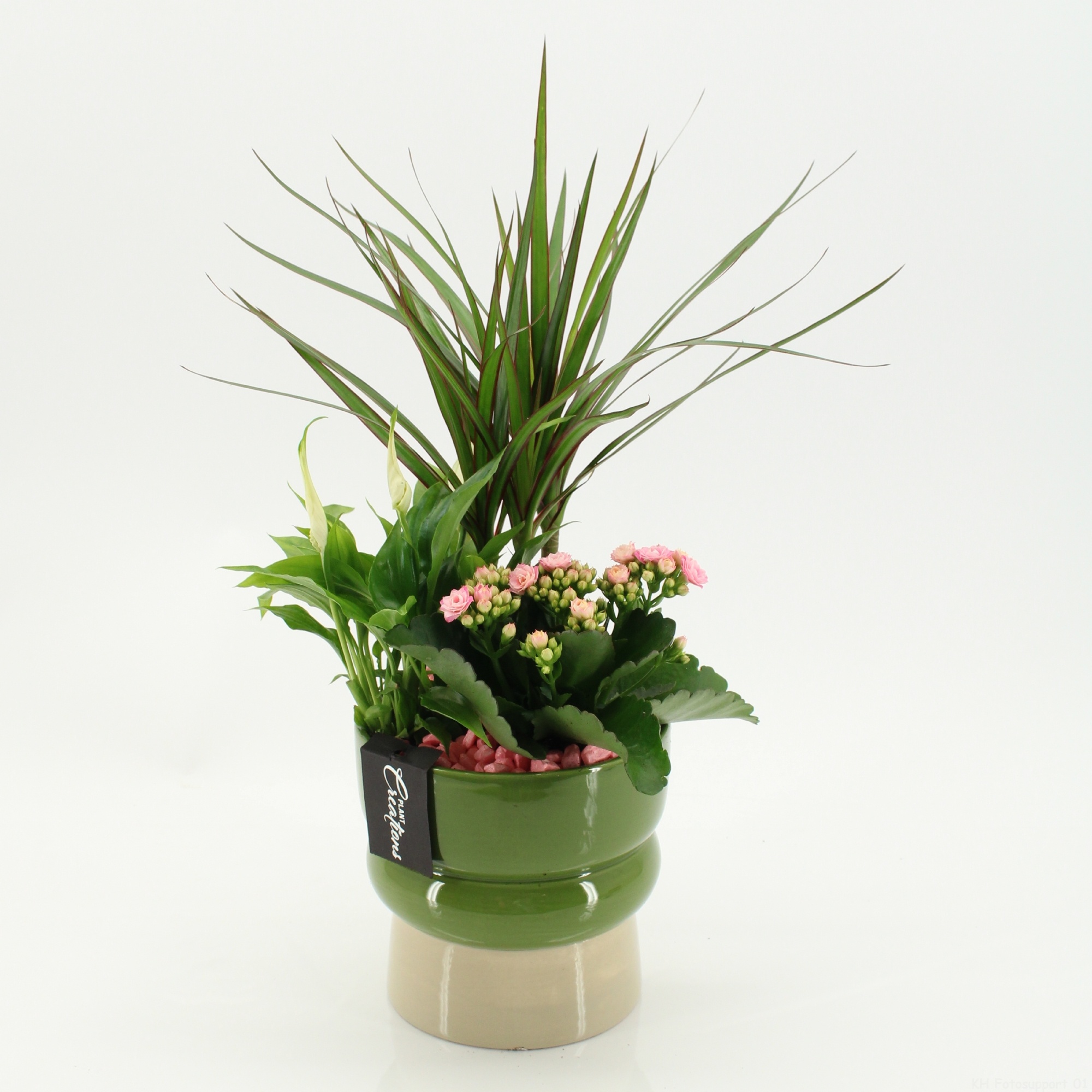 RECR-2623 Rentree, D 14