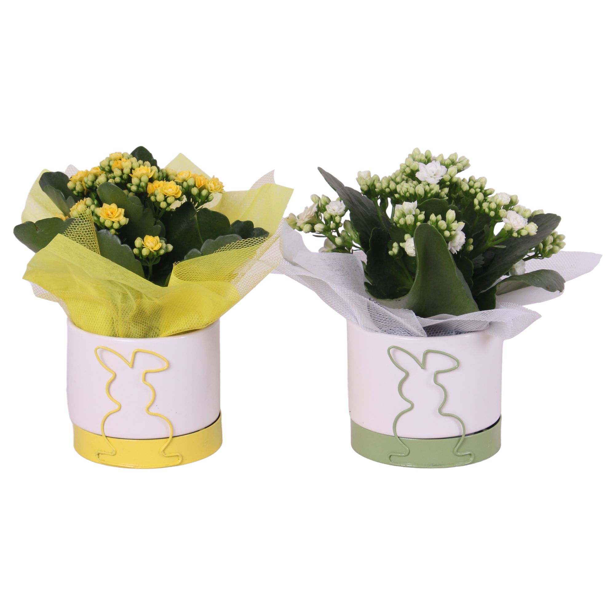 Easter Arr. Indoor Ceramic Rabbit Frame Pot Ø10cm 1PP, D 10