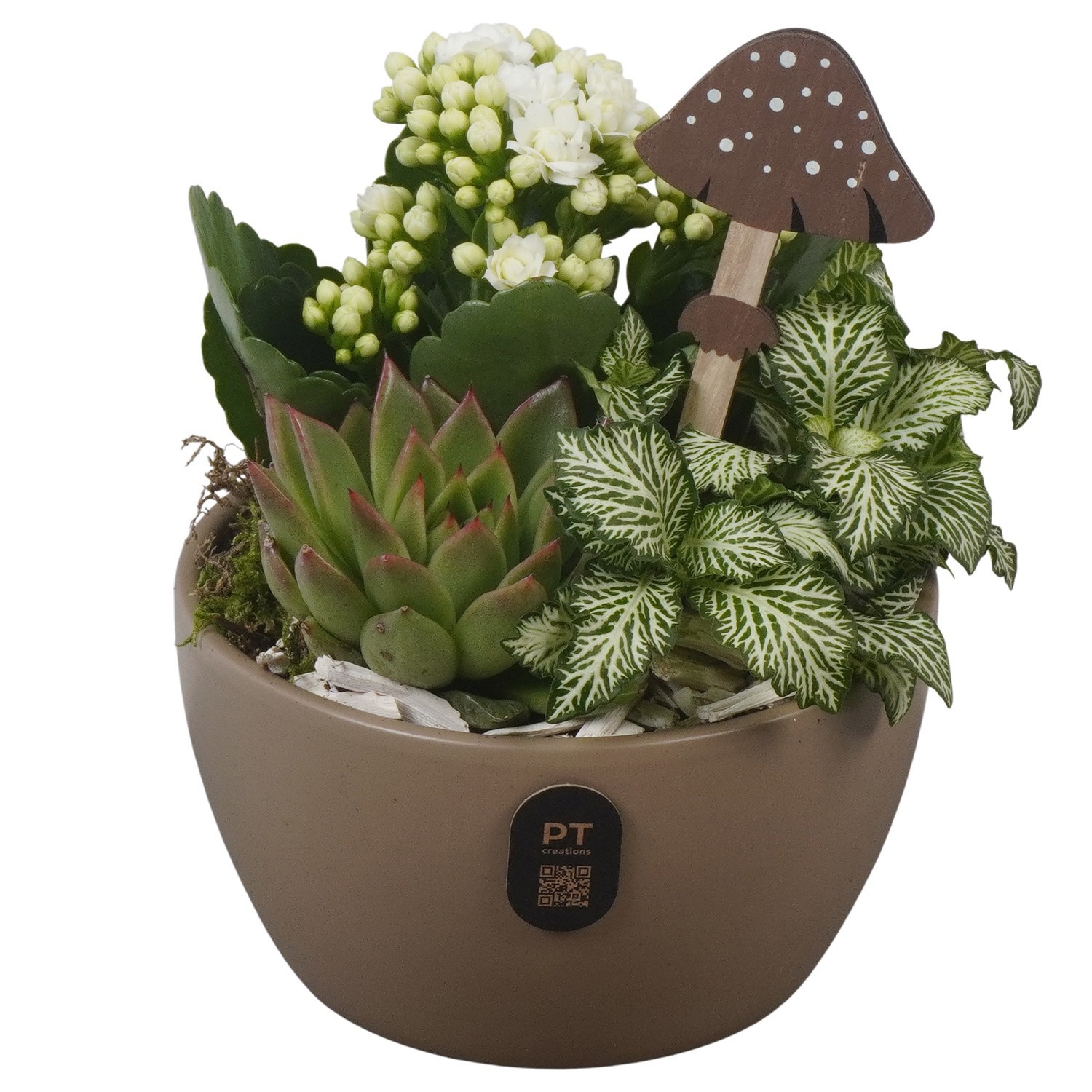 PTHI3246 Arrangement Autumn Indoor in keramiek schaal, D 14