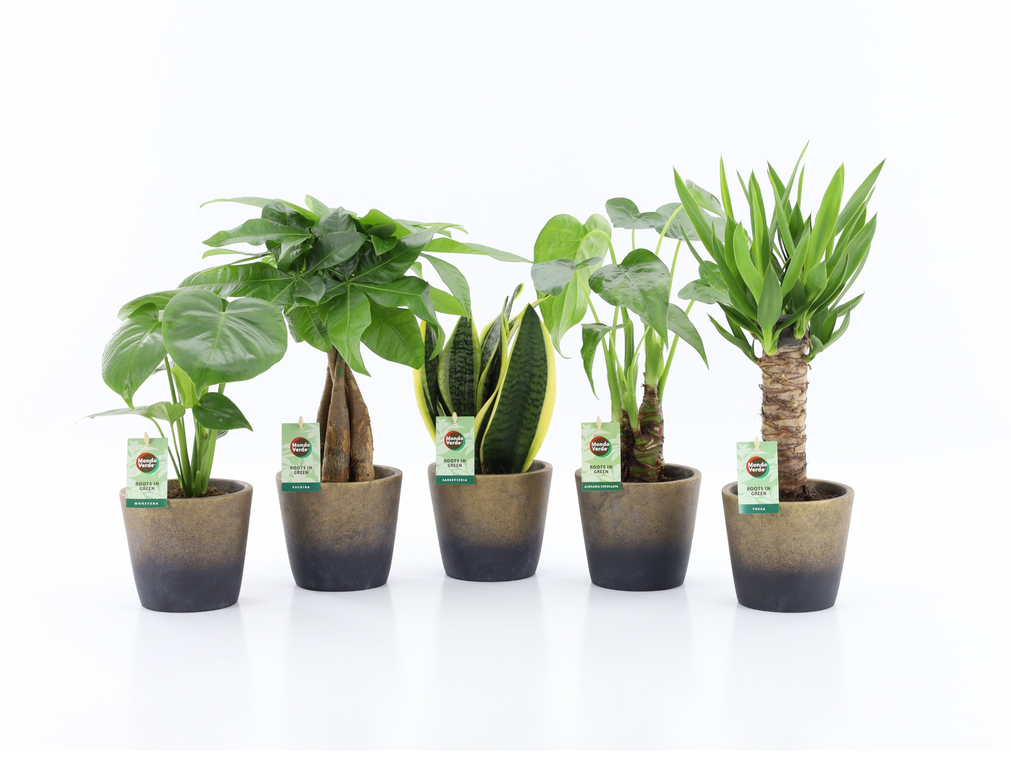 Tropic Mix in Lunar keramiek, D 13