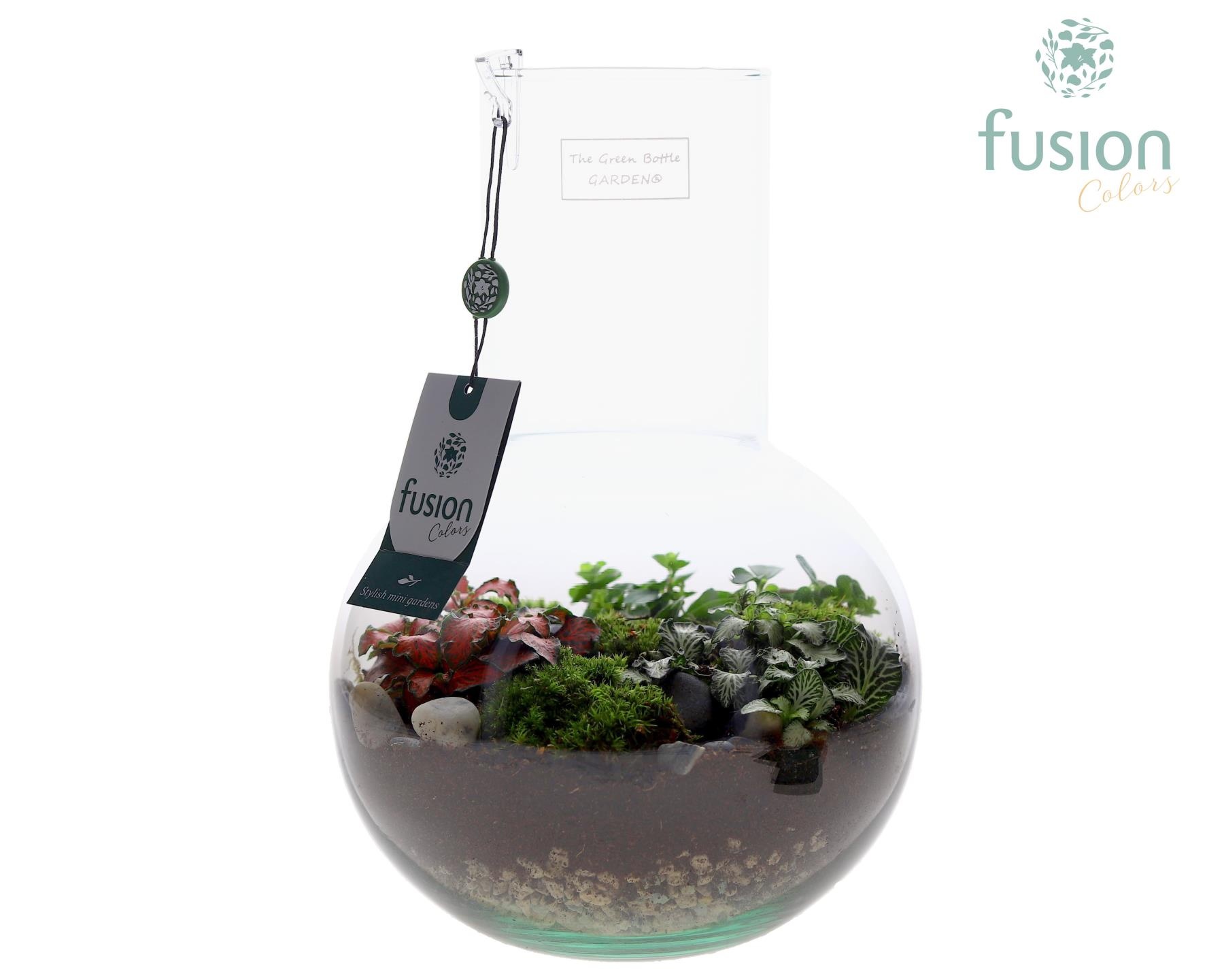 Green Bottle Suzanne Medium met arrangement, D 21