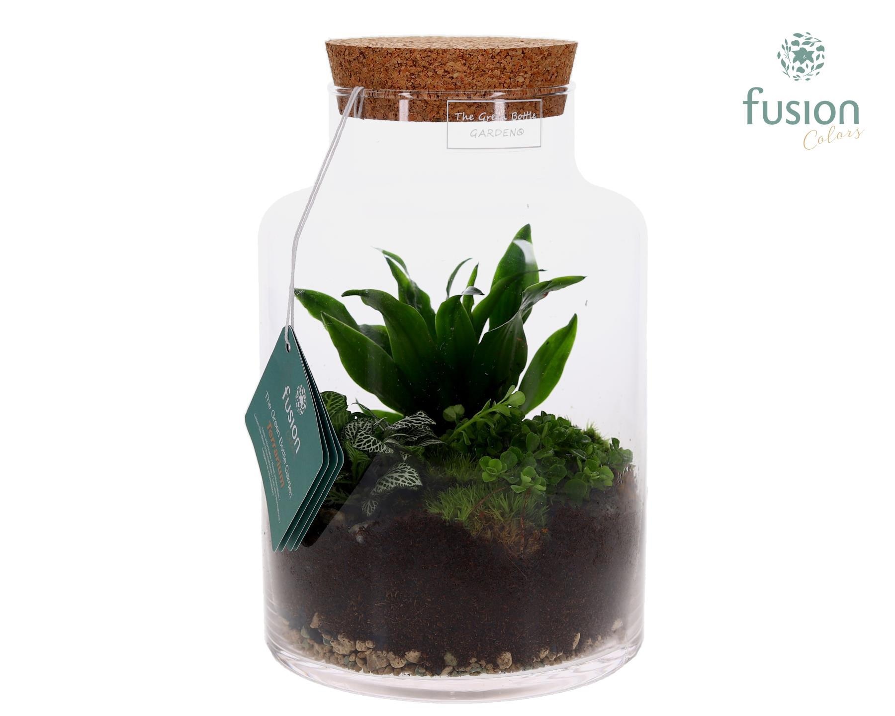 Glzen vaas met Terrarimum arrangement, D 17