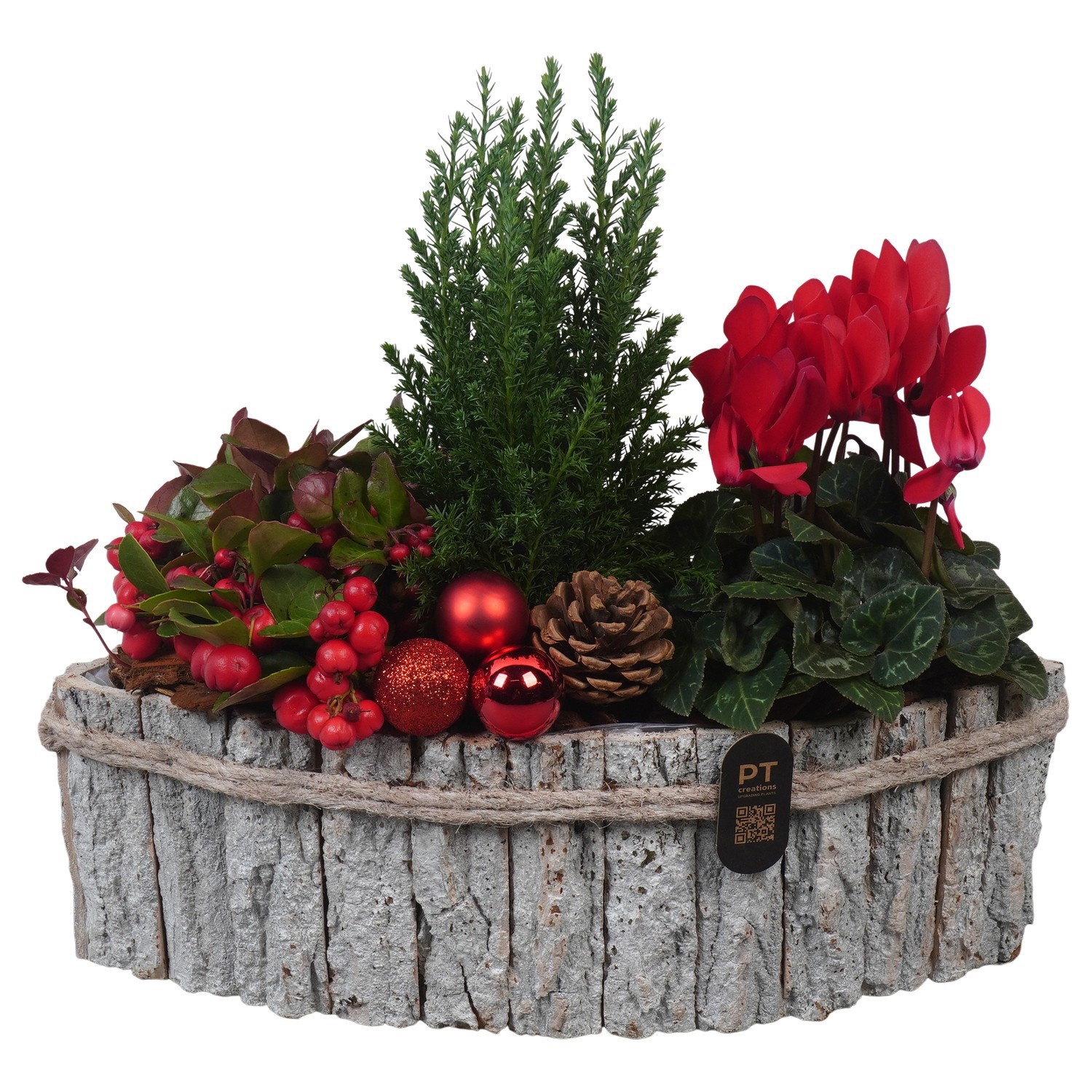 PTCHO5409 Arrangement Christmas Outdoor in houten boot, D 32