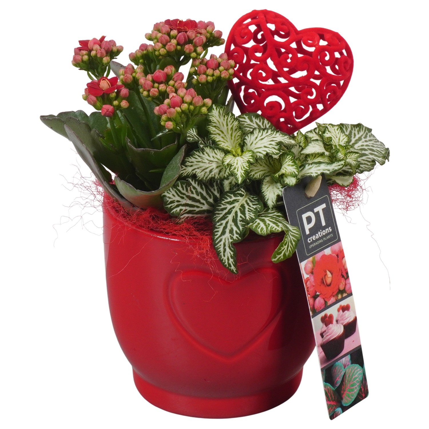 PTVMB2252 Arrangement Valentines-Mothersday in keramiek sierpot, D 11