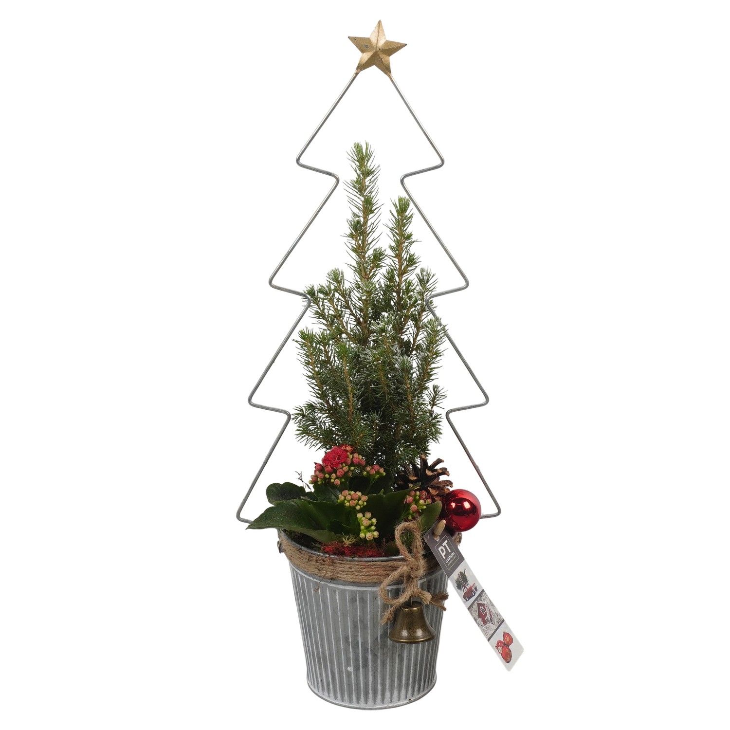 PTCHR7329 Arrangement Christmas Red in metaal pot, D 13 cm
