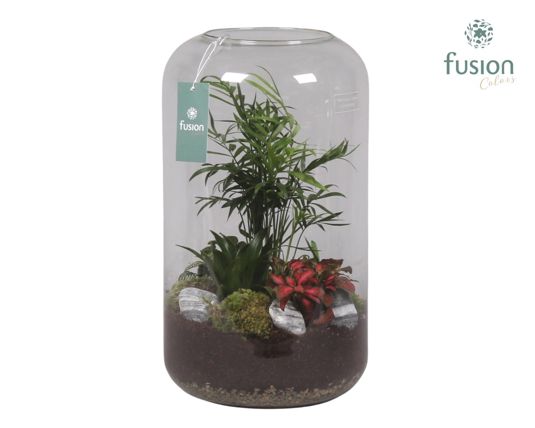 Green Bottle Isabella XXLarge met Groene Planten Arrangement, D 23