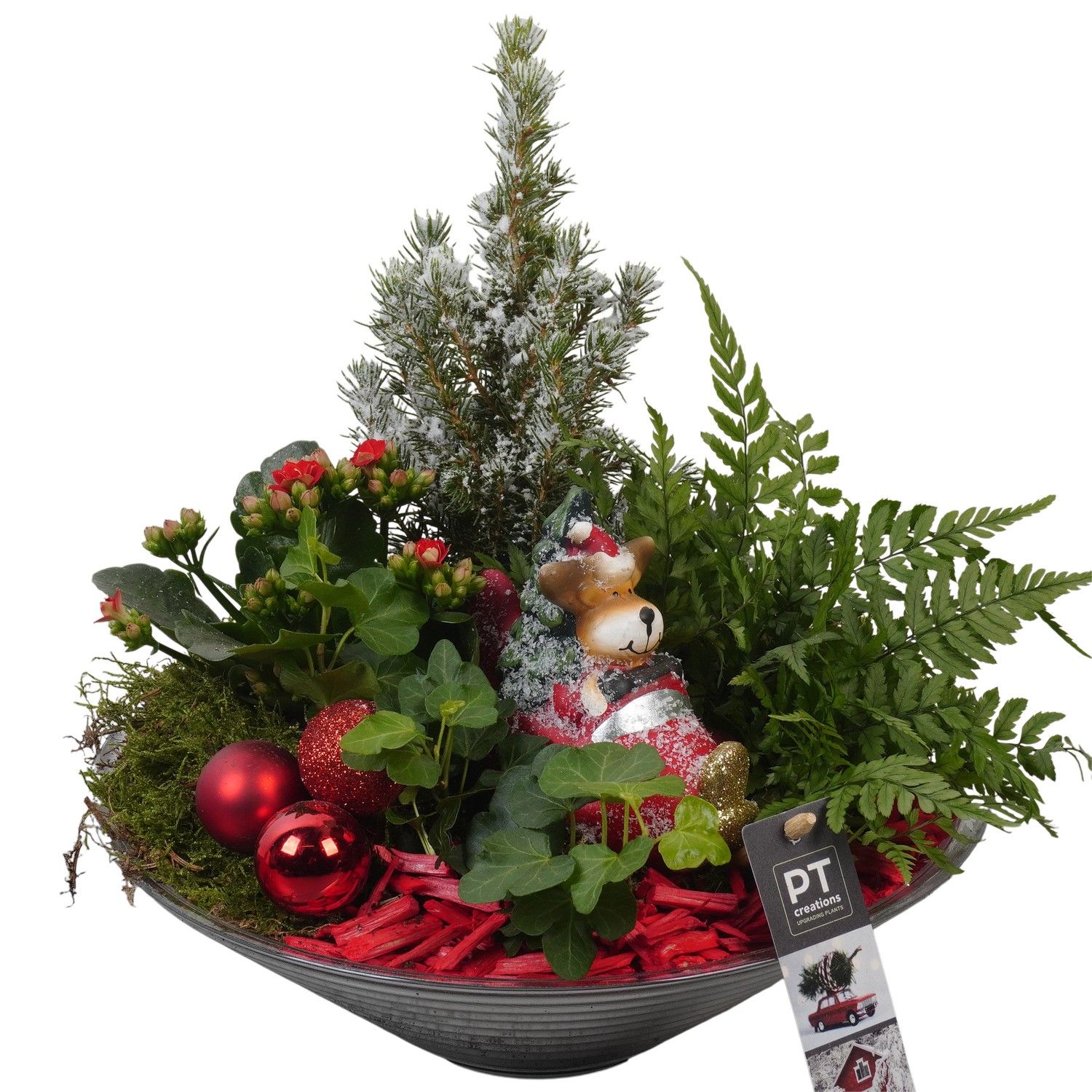 PTCHR7430 Arrangement Christmas Red in glas schaal, D 26 cm