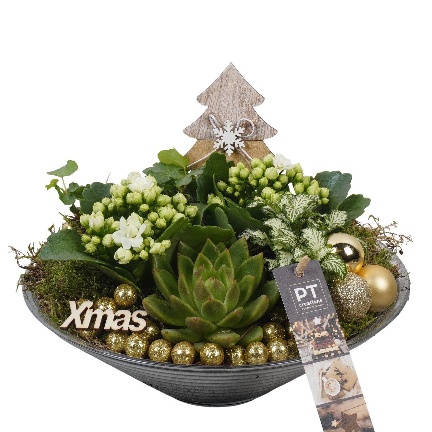 PTCHG5718 Arrangement Christmas Gold in glas schaal, D 26 cm