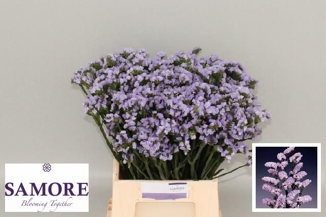 Статица Донау Бердс 45 (светло-роз.), шт.