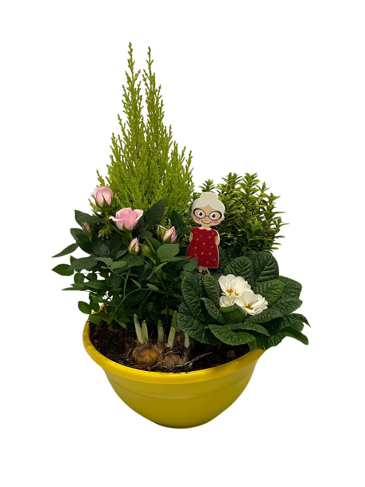 Buitenschaal arrangement GM3 Middel Geel, D 27