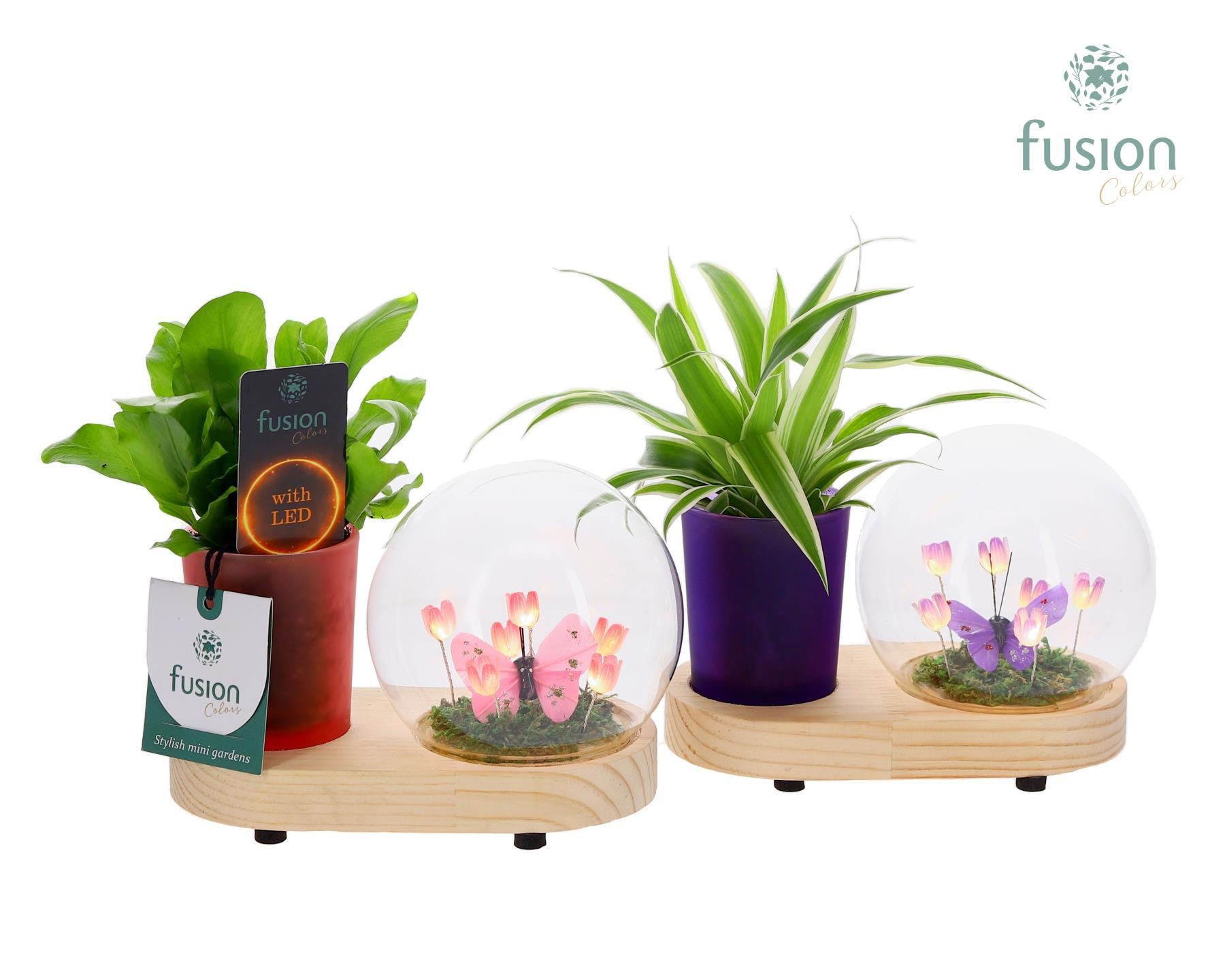 LED Lichtbal Bloemen houten planter met groene planten, D 16